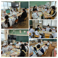 20260323_173113-COLLAGE