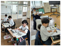 20260428_173913-COLLAGE (1)
