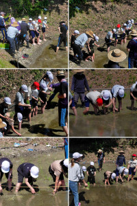 20260507_150407-COLLAGE