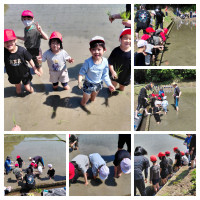 20260507_150541-COLLAGE