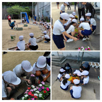 20260520_092840-COLLAGE