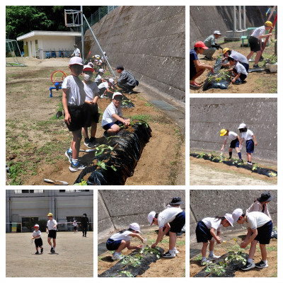20260529_110523-COLLAGE
