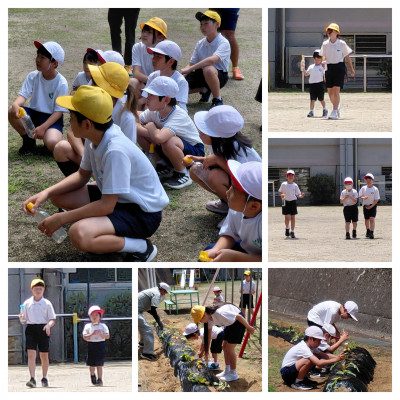 20260529_110645-COLLAGE