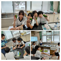 20260630_151542-COLLAGE