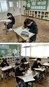 20260116_105708-COLLAGE