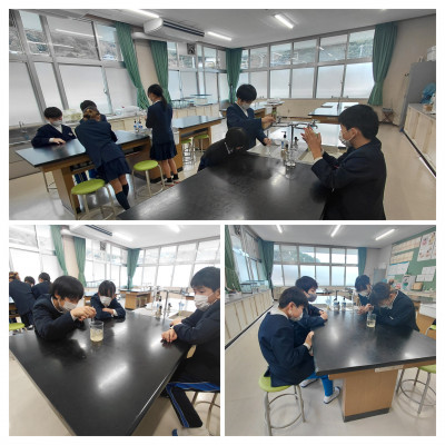 20260123_104435-COLLAGE