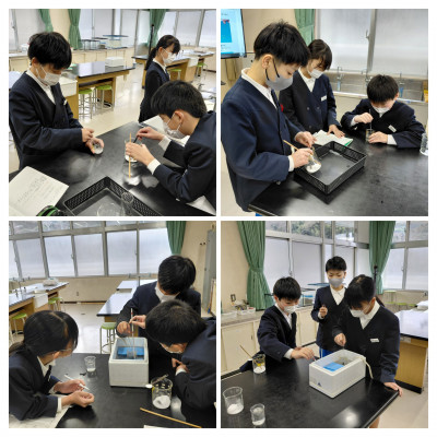 20260127_114107-COLLAGE