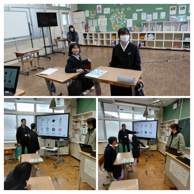 20260128_144559-COLLAGE