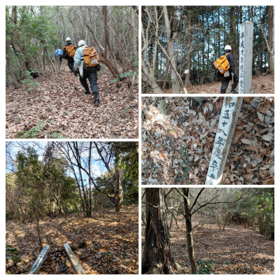 20260129_163353-COLLAGE