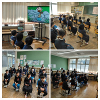 20260217_143025-COLLAGE