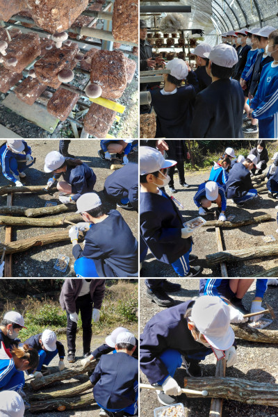 20260311_171049-COLLAGE