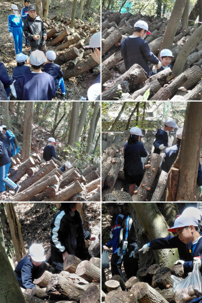 20260311_171122-COLLAGE